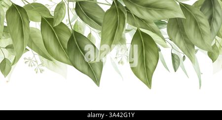 Aggraziati rami di salice ed eucalipto, bordo orizzontale senza cuciture. Illustrazione digitale ad acquerello. Rami di bambù e un olivo su un bac bianco Foto Stock
