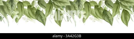 Aggraziati rami di salice ed eucalipto, bordo orizzontale senza cuciture. Illustrazione digitale ad acquerello. Rami di bambù e un olivo su un bac bianco Foto Stock