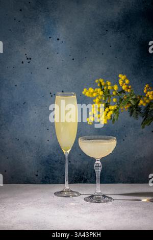 Due bicchieri di cocktail mimosa sono decorati con fiori di mimosa su un tavolo grigio su sfondo blu, per celebrare l'arrivo della primavera Foto Stock