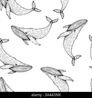 Motivo senza cuciture con Big Whale. Animale marino dipinto a mano. Grafica clip art tropicale isolata sullo sfondo. Illustrazione sott'acqua. Per i progettisti Illustrazione Vettoriale