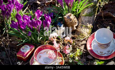 Piccoli tazze da tè, gatti in ceramica tra i crocchi. Foto Stock