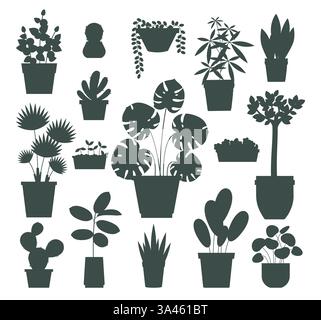 Crea sagome per piante domestiche. Piante da casa in vasi da fiore. Palma di banana e monstera, cactus e succulenti. Interno esotico tropicale botanico Illustrazione Vettoriale