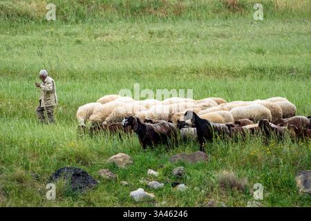 Un uomo che allevava pecore e capre nei pressi di Agia Varvara, regione di Paphos, Cipro Foto Stock