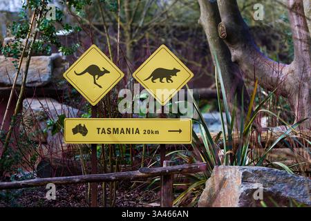 Un cartello direzionale in un ambiente naturale, con le icone di un canguro e di un diavolo della Tasmania, con un indicatore di distanza dalla Tasmania. Foto Stock