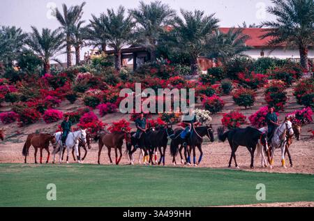 I cavalli appartenenti all'Aga Khan sono esercitati al Salagor Turf Club di Kuala Lumur, Malesia. Foto Stock