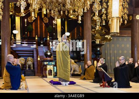 I monaci offrono la preghiera durante i servizi di prima mattina all'interno dell'Hatto, o sala Dharma, nei terreni del tempio Eiheiji a Katsuyama, nella prefettura di Fukui, Ja Foto Stock