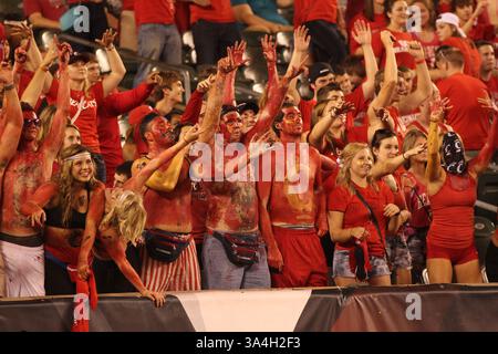 20 settembre 2014 - Cincinnati, Ohio, U. S - i tifosi dei Cincinnati Bearcats tifanno il tifo mentre la partita con i Miami (Oh) Redhawks volge al termine Mentre i Bearcats vincono 31-24. Sabato 20 settembre 2014. (Immagine di credito: © Ernest Coleman/ZUMA Wire) Foto Stock