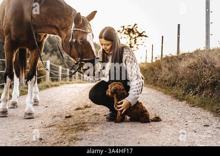 Donna con Hanoverian e Havanese Foto Stock