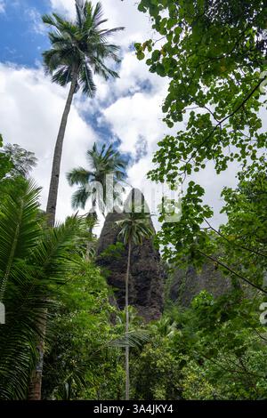 Un lussureggiante sentiero nella giungla attraverso la valle di Hakaui, Nuku Hiva, le isole Marchesi, la Polinesia francese. Torreggianti scogliere basaltiche e fitta vegetazione circondano il tra Foto Stock