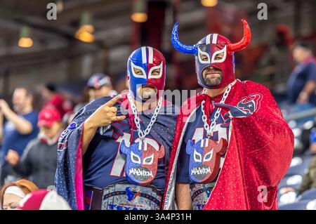 28 dicembre 2014 - Houston, Texas, USA: Tifosi degli Houston Texan durante l'ultima partita di football della stagione regolare tra i Jacksonville Jaguars e gli Houston Texans all'NRG Stadium di Houston, Texas. (Immagine di credito: © Rudy Hardy/Cal Sport Media/ZUMAPRESS.com) Foto Stock