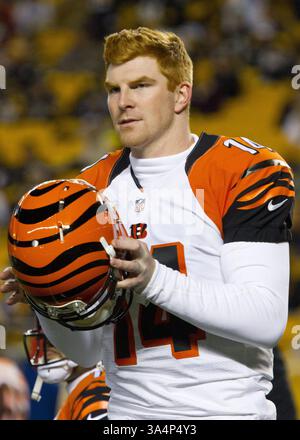 28 dicembre 2014 - Pittsburgh, Pennsylvania, U. S - il quarterback dei Cincinnati Bengals Andy Dalton (14) prima della partita. I Pittsburgh Steelers sconfissero i Cincinnati Bengals 27-17 domenica sera all'Heinz Field per vincere il titolo di Division della AFC North. (Immagine di credito: © Brian Kunst/ZUMA Wire) Foto Stock