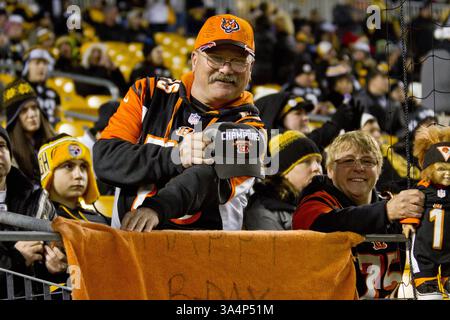 28 dicembre 2014 - Pittsburgh, Pennsylvania, U. S - tifoso dei Cincinnati Bengals che mostra il suo sostegno alla sua squadra. I Pittsburgh Steelers sconfissero i Cincinnati Bengals 27-17 domenica sera all'Heinz Field per vincere il titolo di Division della AFC North. (Immagine di credito: © Brian Kunst/ZUMA Wire) Foto Stock