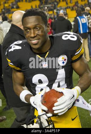 28 dicembre 2014 - Pittsburgh, Pennsylvania, U. S - il wide receiver dei Pittsburgh Steelers Antonio Brown (84) dopo la partita. I Pittsburgh Steelers sconfissero i Cincinnati Bengals 27-17 domenica sera all'Heinz Field per vincere il titolo di Division della AFC North. (Immagine di credito: © Brian Kunst/ZUMA Wire) Foto Stock