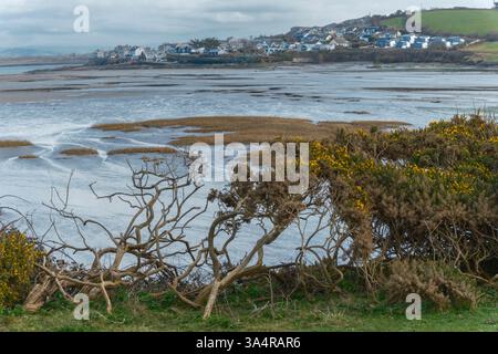 Northam Burrows vicino a Appledore nel North Devon - mentre la marea si allontana, la palude salata in continuo cambiamento con i suoi motivi di sabbia ricoperta da verde verde verde verde verde verde g Foto Stock