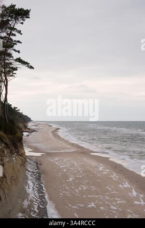 Winter Beach Landscape con la foresta costiera Foto Stock