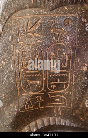 Cairo, Egitto - 13 gennaio 2025: Vista ravvicinata di cartigli geroglifici su un antico manufatto egiziano. Le incisioni dettagliate includono uccelli e AN Foto Stock