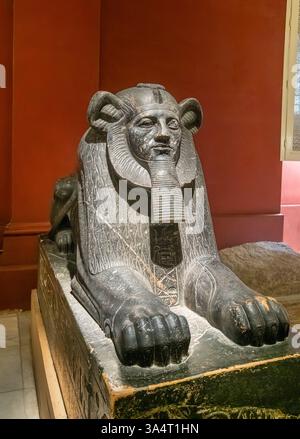 Museo Egizio, Cairo, Egitto - 13 gennaio 2025: Statua di 3.860 anni in granito grigio della Sfinge del re Amenemhat III, realizzata durante la XII dinastia Foto Stock