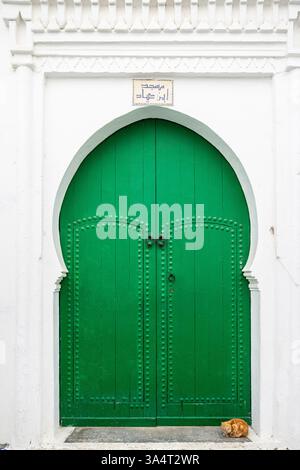 Tipica porta verde della medina con gatto riposante, Asilah, Marocco, Nord Africa Foto Stock