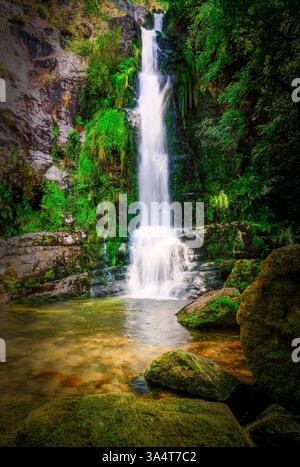 Cascata nel mezzo di una foresta con alberi, fogliame e muschio che cadono dalle rocce a media altezza circondati da alberi e cespugli, in un piccolo laghetto Foto Stock