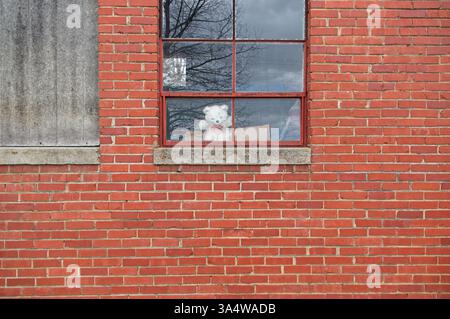 Esterno di un edificio scolastico abbandonato con orsacchiotto nella finestra Foto Stock