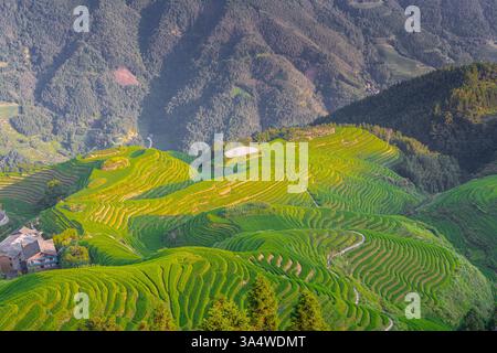 Sette stelle accompagnano la Luna, parte della dorsale del Drago, o Longji Rice Terraces, situata vicino al villaggio di Ping'an nel northe Foto Stock