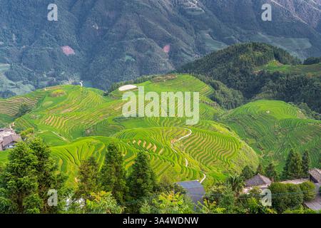 Sette stelle accompagnano la Luna, parte della dorsale del Drago, o Longji Rice Terraces, situata vicino al villaggio di Ping'an nel northe Foto Stock