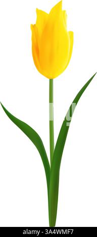 Bellissimo tulipano giallo realistico. Illustrazione vettoriale isolata. Per sfondo, carta da parati e design in tessuto a tema primaverile. Elemento di design floreale Illustrazione Vettoriale