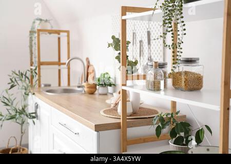 Scaffalatura con piante d'appartamento e pasta in cucina elegante, primo piano Foto Stock
