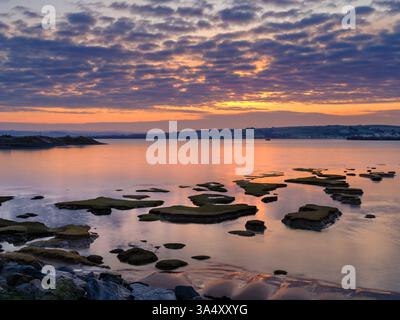 Northam Burrows vicino a Appledore nel North Devon - mentre la marea si allontana, la palude salata in continuo cambiamento con i suoi motivi di sabbia ricoperta da verde verde verde verde verde verde g Foto Stock