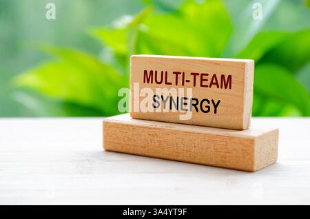 Testo Multi Team Synergy su blocco di legno con sfondo naturale sfocato. Concetto di collaborazione e lavoro di squadra. Foto Stock