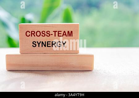 Testo Cross Team Synergy su blocco di legno con sfondo naturale sfocato. Concetto di collaborazione e lavoro di squadra. Foto Stock
