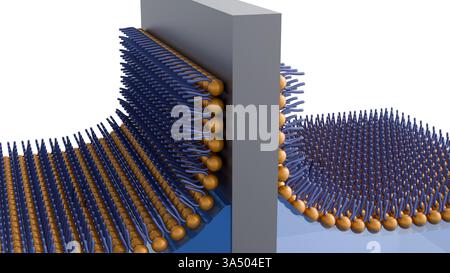 Illustrazione 3D rappresentata che raffigura la formazione o la struttura di un film Langmuir-Blodgett (LB) Foto Stock