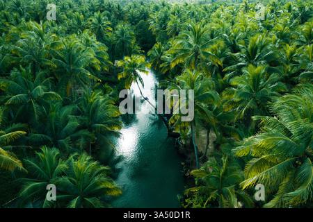 Un gruppo di viaggiatori è appeso a una palma da cocco pendente accanto a un fiume in una foresta durante il tramonto. La scena tropicale cattura l'avventura, il cameratismo e i momenti di viaggio all'aperto. Foto Stock