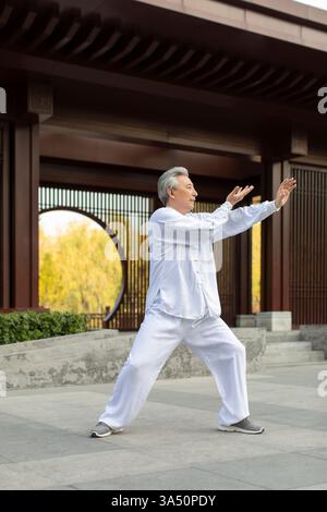 Uomo cinese anziano che pratica Tai chi in un parco in una giornata di sole. Ideale per campagne di benessere, fitness e lifestyle senior che mettono in risalto l'equilibrio e l'esercizio attento. La scena trasmette vitalità e sano invecchiamento in ambienti esterni. Foto Stock