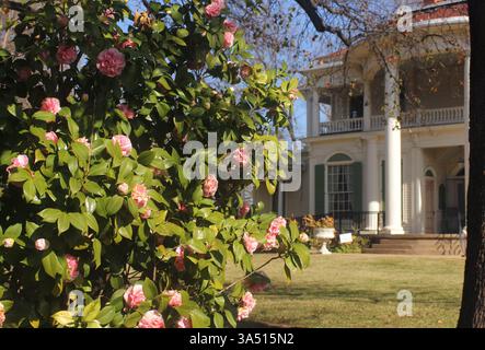 Storica residenza in stile coloniale situata nella regione rurale del Texas orientale Foto Stock