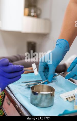 Mani di una dentista di razza mista e di un'assistente ispanica che lavorano insieme in una clinica. La scena enfatizza il lavoro di squadra, la professionalità e la cura del paziente in odontoiatria. Ideale per l'assistenza sanitaria, l'odontoiatria e i temi di collaborazione clinica. Foto Stock