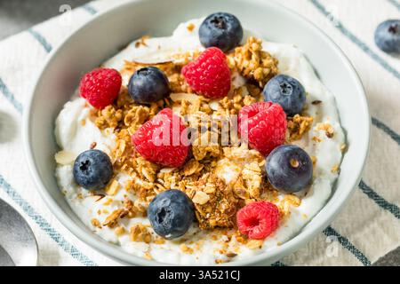 Yogurt greco dolce e salutare con Granola per colazione con frutti di bosco Foto Stock
