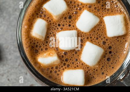 Cioccolata calda fatta in casa dolce con marshmallow in tazza Foto Stock