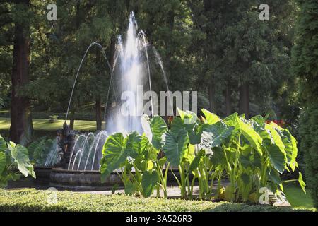 Una magnifica fontana con una ciotola rotonda. Un capolavoro di architettura del giardino - un parco sul Lago maggiore Foto Stock