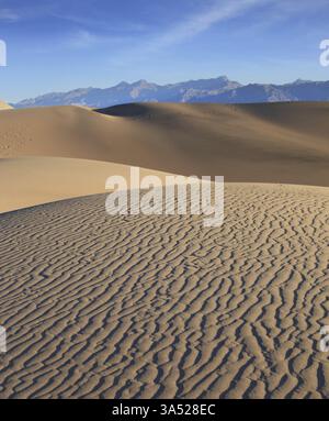 Cresta della duna. La mattina presto nel deserto. Ombre improvvise, sottili increspature nella sabbia e tracce degli animali notturni del deserto Foto Stock
