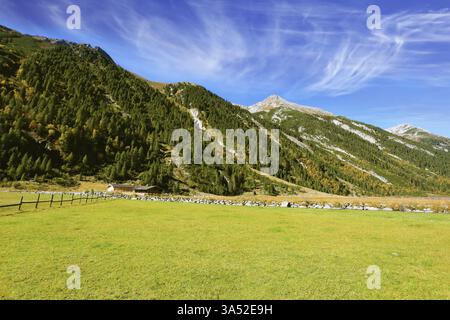 Giornata di sole nelle Alpi austriache. Prati verdi nella valle e boschi di conifere sulle colline Foto Stock