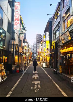 Strada dei ristoranti e dei bar nel quartiere Shinjuku Sanchome di Tokyo di notte. Foto Stock