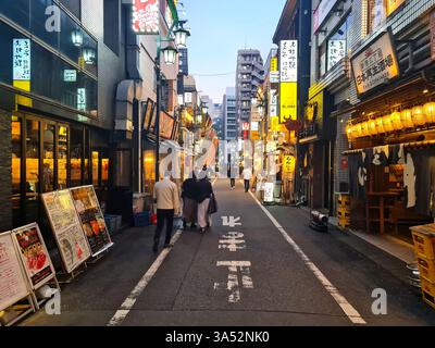 Strada dei ristoranti e dei bar nel quartiere Shinjuku Sanchome di Tokyo di notte. Foto Stock