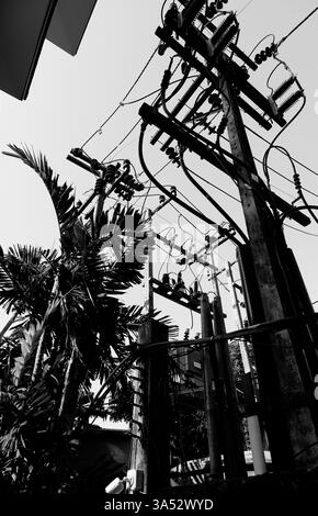 Una rete caotica di linee elettriche contrasta con le palme tropicali di Railay Foto Stock