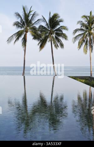La magnifica piscina costruita sulla spiaggia di Koh Samui. L'oceano blu e la piscina dividevano tre pittoresche palme Foto Stock