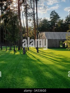 Moderna casa in legno in una pineta. La pineta proietta lunghe ombre sull'erba. Foto Stock