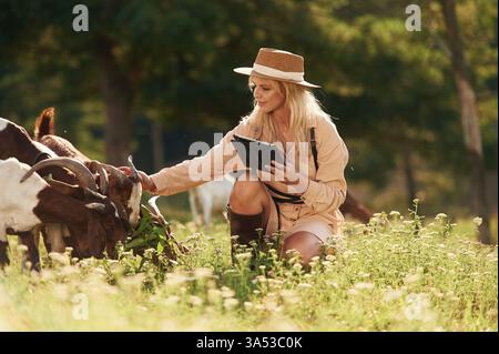 Con tablet digitale nero. La giovane donna è sul campo, in fattoria, con le capre. Foto Stock