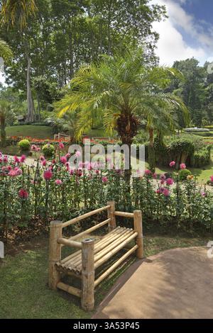 Un capolavoro di design paesaggistico - un enorme e bellissimo parco in Thailandia. Palme, aiuole di fiori e una comoda panca Foto Stock