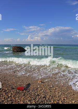 Dopo la tempesta. Pagaia con chip rosso lanciata sulla spiaggia di ciottoli dopo una forte tempesta invernale Foto Stock