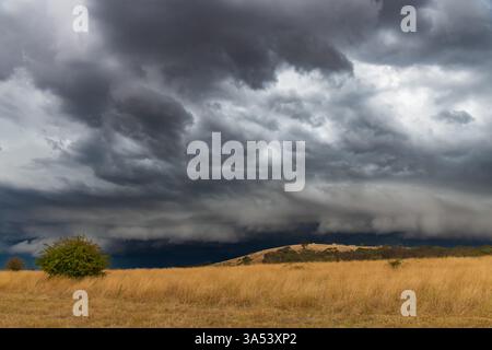 Tempeste serali che attraversano la campagna di Blayney, nel centro-ovest del nuovo Galles del Sud, Australia. Foto Stock